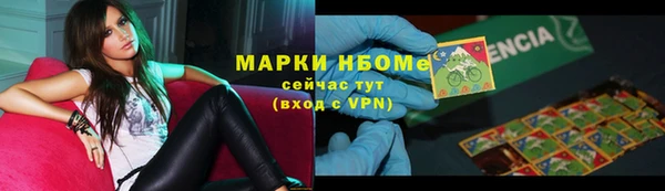 стаф Новокубанск