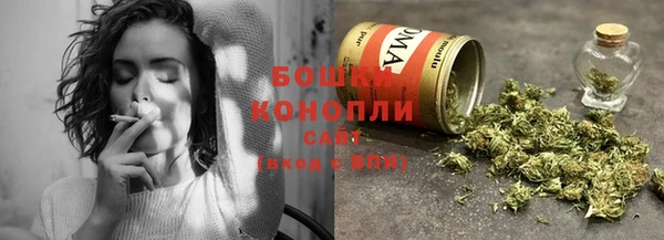mdpv Ельня