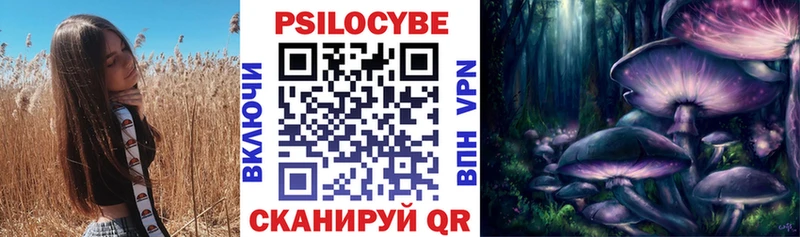 Псилоцибиновые грибы Cubensis omg ссылки Питкяранта купить наркоту